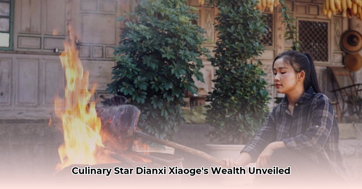 dianxi xiaoge net worth